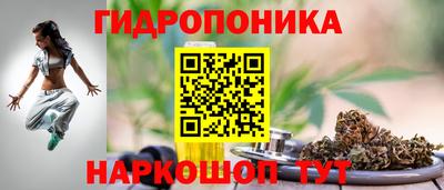 сатива Будённовск