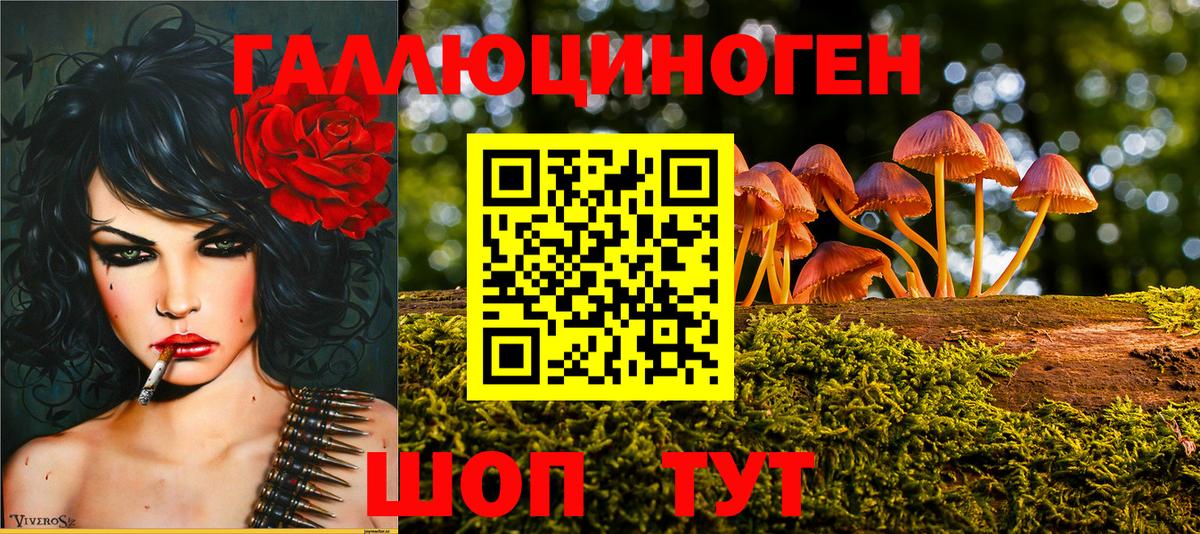 Мариинск  Галлюциногенные грибы прущие грибы  Вход с VPN 